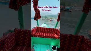 Shikara ride ​⁠​⁠dallake shikara kashmir travel kerala nature roadtrip india worldtour [upl. by Gonzalo]