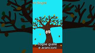 L albero dell autunno [upl. by Whitebook]