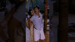 Watch full video👆 nilakayuthu from sakalakalavallavan kamalhaasan vaalihits vaali shorts [upl. by Elset864]