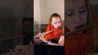 Gariboldi  Op 132 No 8 flute atlanta etude [upl. by Ainahs751]