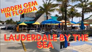 BEST Things to Do in LAUDERDALE BY THE SEA [upl. by Vaules]