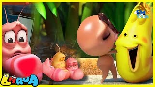 LARVA TUBA 2025  Cartoon Movie  Cartoons  Comics  Larva Cartoon  LARVA Official [upl. by Winifield]