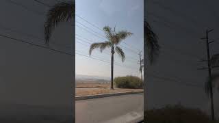 South Redlands California california [upl. by Nathan]