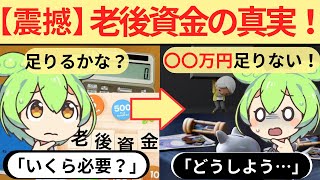 【震撼】老後資金の真実！あなたの必要額は？【ずんだもん解説】 [upl. by Yousuf]