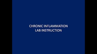 chronic inflammation [upl. by Hsejar]