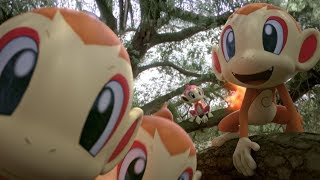 Festeggia il Community Day di Pokémon GO con Chimchar [upl. by Nnaarual]