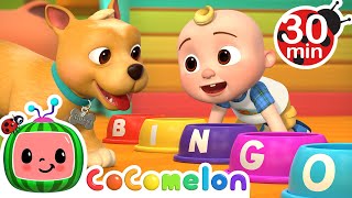 Bingo Was His NameO  MORE Dog Songs CoComelon Nursery Rhymes amp Animal Songs [upl. by Garda]