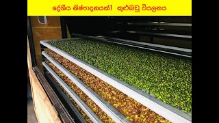 SPICE DRYER  දේශීය නිෂ්පාදනයක්  කුළුබඩු වියලනය [upl. by Panther785]