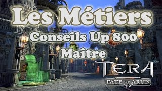 Tera  Les Métiers  Conseils pour up 800 Maître Lomitall 208 [upl. by Crist494]