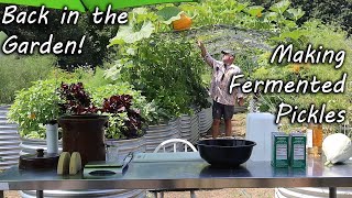 S3E1 Back In The Garden amp Making Natural Fermented Pickles [upl. by Uzzi]