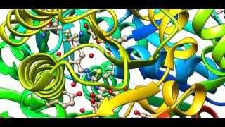 Glycogen phosphorylase  4trifluoromethylbenzaldehyde4betaDglucopyranosylthiosemicarbazone [upl. by Annaohj111]