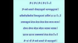 HANUMAN VADVANAL STOTRA Fastest hanuman vadvanal Smitjoshiofficial sanatandharma [upl. by Nyvar]