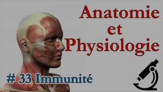 Anatomie et Physiologie 33 Immunité [upl. by Eimia]