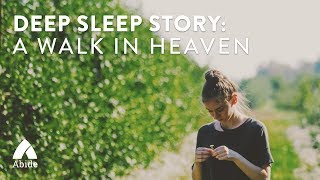 Deep Sleep Bible Story A Walk In Heaven [upl. by Eidnew]