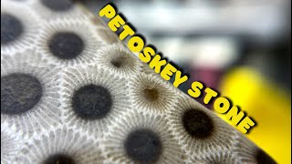 Polishing a PETOSKEY STONE feat Michigan Rocks  Lapidary [upl. by Atinob]