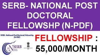 SERB National PostDoctoral Fellowship 2023 NPDF II Application started [upl. by Elspeth]