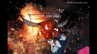 Documental de Zapotitlán Recorrido y quema de Toros Monumentales febrero 2017 CNGZ [upl. by Edelsten]