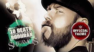 Sheamus  10 Beats Of The Bodhran Exit Theme [upl. by Areyk]