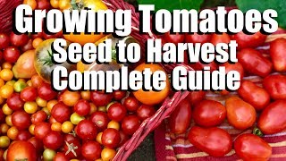 How to Grow Tomatoes from Seed to Harvest  Complete Gardening Guide with Digital Table of Contents [upl. by Loftis]