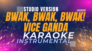 Bwak Bwak Bwak  Vice Ganda Karaoke Studio Version [upl. by Asle361]