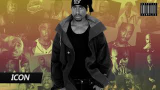 FREE 2Pac Type Beat  ICON  Produced by Kryptic Samples  Oldschool  West Coast [upl. by Hcelemile440]