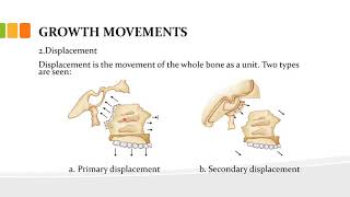 orthodontics L5 growth and development 2 [upl. by Ameh]