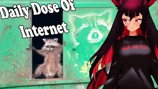 Trickywi Reacts  Daily Dose Of Internet  Try Not To Laugh [upl. by Yt]