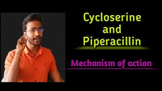 Cycloserine and Piperacillin Mechanism of action [upl. by Anait179]