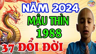 Tử Vi Năm 2024 Tuổi MẬU THÌN 1988 Hé Lộ Đón Lộc Tránh Họa ĐỔI ĐỜI GIÀU Ú Ụ  PQPT [upl. by Nyrraf]