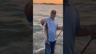 Catfishing Millerton Lake Ca [upl. by Arfihs]