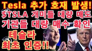 Tesla 추가 호재 발생 테슬라 최초로 인증  연말 Tesla FSD 라이센싱 발표 나오나  TSLA 개미들 대량 매도 기관들 대량 매수 확인 정해진 앞으로의 방향 [upl. by Michaeu]