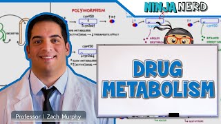 Pharmacokinetics  Drug Metabolism [upl. by Aleira800]