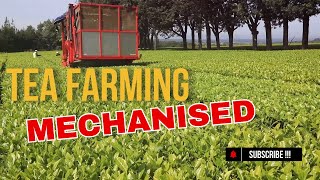 Mechanisation in Tea Farming [upl. by Suivat]