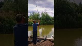 Dreaming of those Sunny Days casting for Carp at Coking Farm Fisheries thechriscarpcatcher shorts [upl. by Synned]