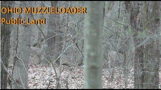 OHIO MUZZLELOADER Public LandShot Fired [upl. by Ellebasi]