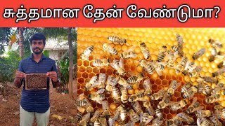 Honey Manufacturing Farm amp Tips Business Tricks amp Safety MeasuresApicultureதேன் வளர்ப்பு [upl. by Springer]