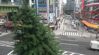 オノデンch【秋葉原ライブカメラ Akihabara live camera】 [upl. by Malkah]