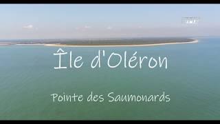 ILE DOLÉRON Pointe des SaumonardsFort Boyard DRONE 4K [upl. by Anurag444]