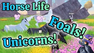 Horse Life FOALS and Fantasy Horse Spawns Unicorns Gargoyles [upl. by Snowber]