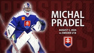 Michal Pradel vs Sweden U18  Aug 5 2024  Hlinka Gretzky Cup [upl. by Nairadal]