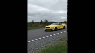 The allnew Ford Mustang Shelby GT350R roars beautifully [upl. by Yecaw]