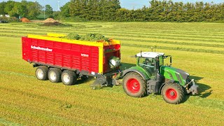 Récolte dherbe 🍀 Schuitemaker RAPIDE 8400 🔴  FENDT 828 [upl. by Orella]