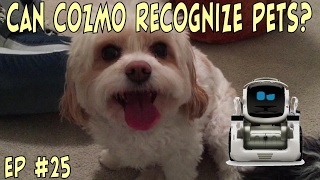 Can Cozmo Recognize Pets  Episode 25  cozmoments [upl. by Kifar]