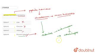 Secretin hormone is secreted by [upl. by Nonregla897]