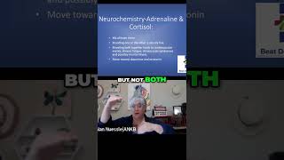 Neurochemistry The Impact of Elevated Neurotransmitters on Health [upl. by Batista275]