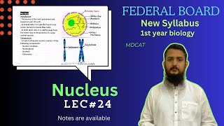 Nucleus  Structure and function of Nucleus  class 11 [upl. by Pantin]