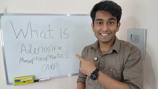 Learn What is Adenosine Monophosphate AMP   AMP  The Energy and Signal Messenger  in Biology [upl. by Now]