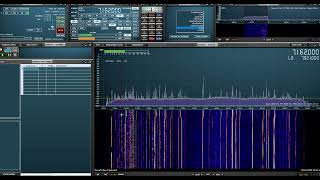 Testy SDR RSP1 EFHW 205 [upl. by Eelymmij]