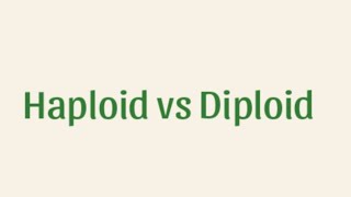 difference between haploid and diploid [upl. by Anor899]