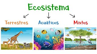 🌿 ¿Qué son los Ecosistemas 🌎 Tipos de Ecosistemas 🐠 Fácil y Rápido [upl. by Christensen]